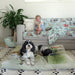 Two cute black and white cavoodles lying on a huge XXL May Gibbs dog and pet bed with a happy child sitting on a sky blue May Gibbs gumnut babies couch cover