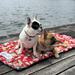 Frenchies on Indie Boho x May Gibbs Christmas travel mat Australia