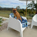Frenchie with dog towel dry off fur super absorbent 