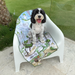 Cavoodle with reversible large dog towel featuring May Gibbs bush babies at the beach