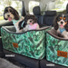 Car booster seat for dogs Australia, safety seat, car carrier, dog travel bed