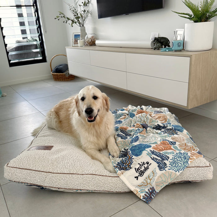 Golden Retriever  lying on a XXL large pet bed with a matching blanket in a modern living room Australia