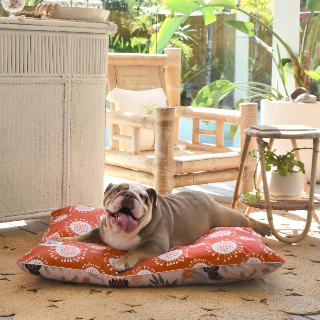 Outdoor Waterproof Pet Bed Australia