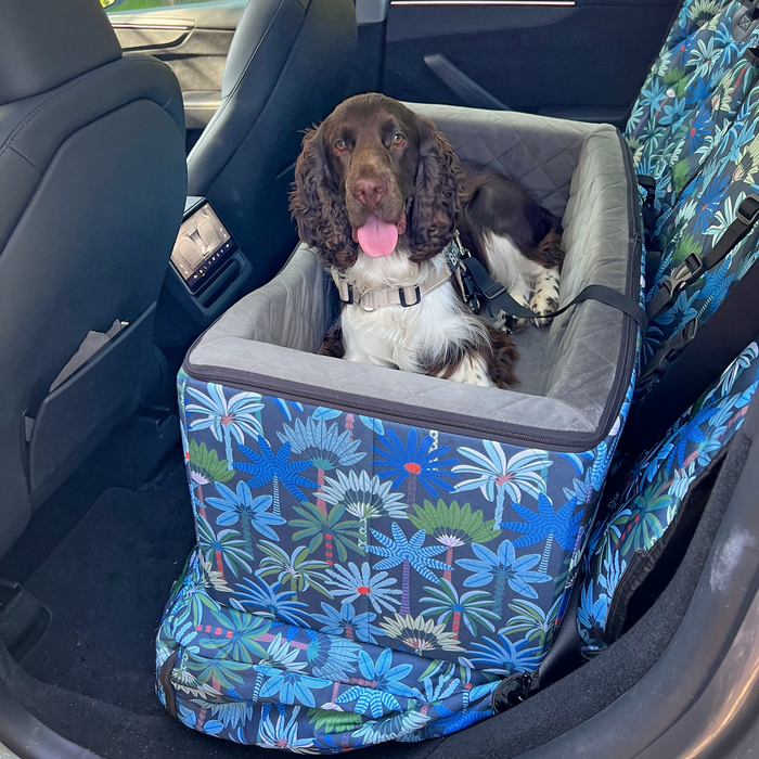 Dog car seat installed safe in car with cocker spaniel lying down with seat belt on.