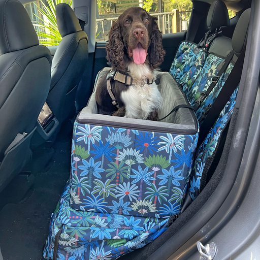 Large and sturdy dog booster car seat for medium breeds