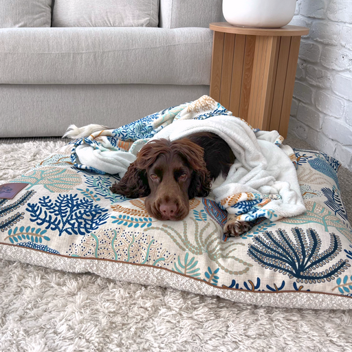 Dog lying on a decorative pet bed with a coral pattern in a living room. Best designer dog blankets and home decor Australia
