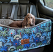 Dog lying down comfortably in a large dog car seat for safety