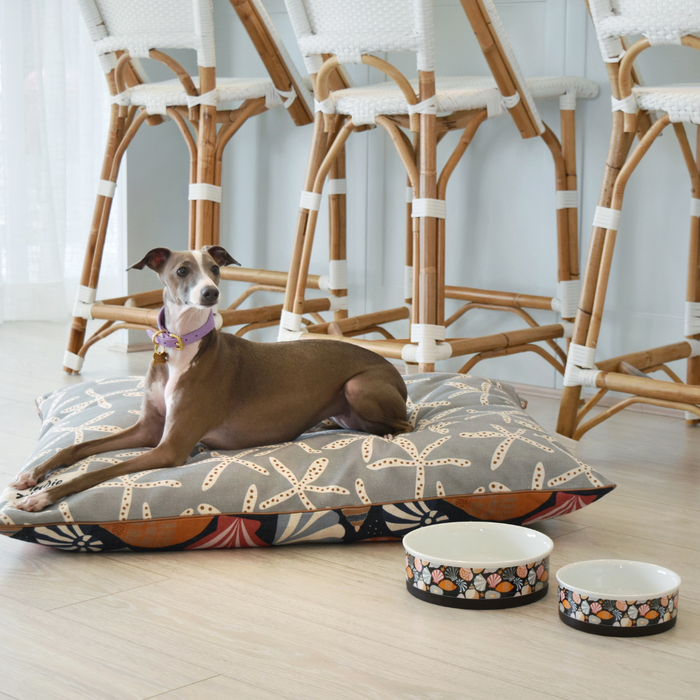 Dog food and water bowls