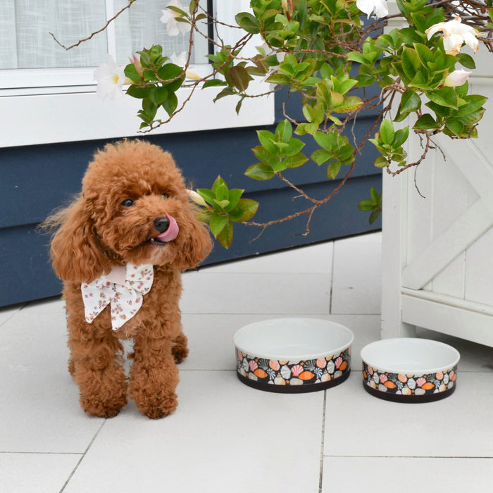 Ceramic Bowl Sets
