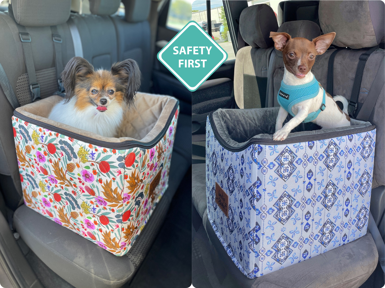 Safety Tips and State-by-State Laws