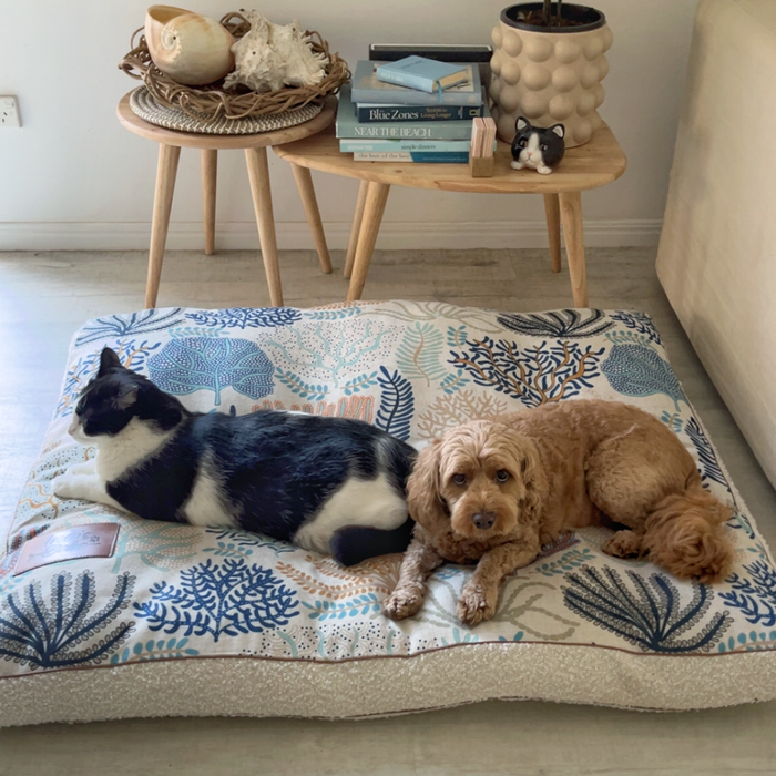 Cat and dog on XXL Coral Cove Designer Dog bed by Australian Artist Jocelyn Proust