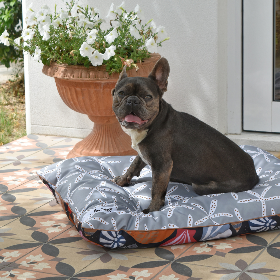 Daydream Shells Water-Resistant – LARGE Dog Bed — Indie Boho