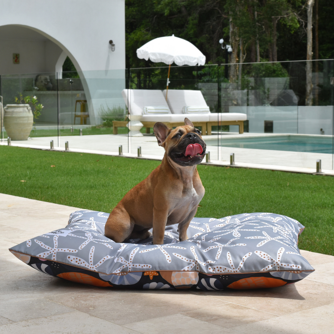 Daydream Shells Water-Resistant – LARGE Dog Bed — Indie Boho