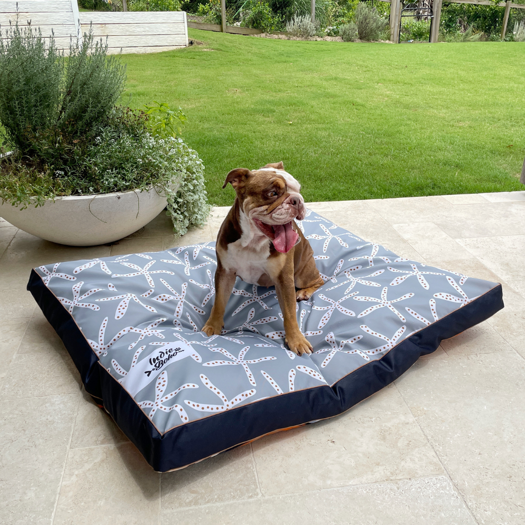 Daydream Shells Water-Resistant - XXL Dog Bed — Indie Boho