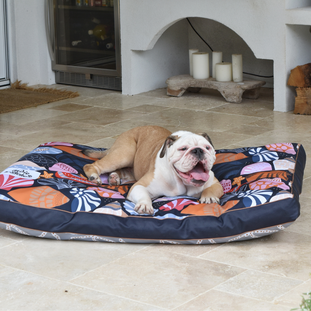Daydream Shells Water-Resistant - XXL Dog Bed — Indie Boho