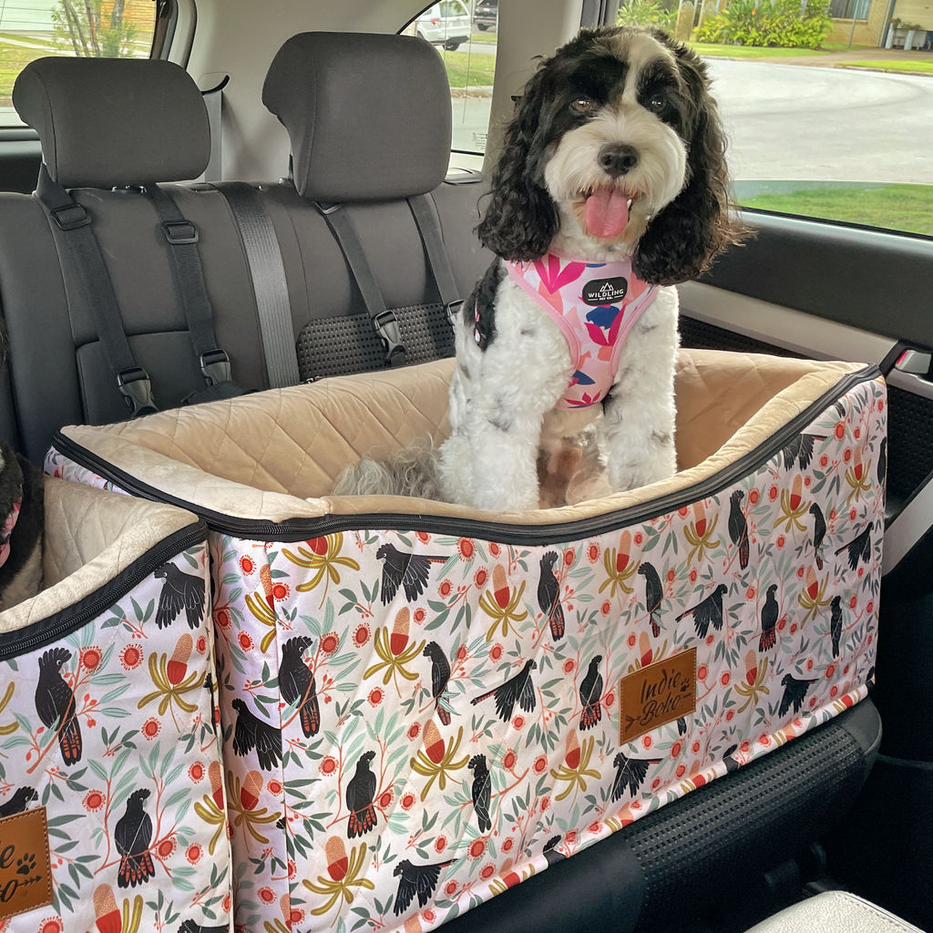 Safest car booster seat for dogs