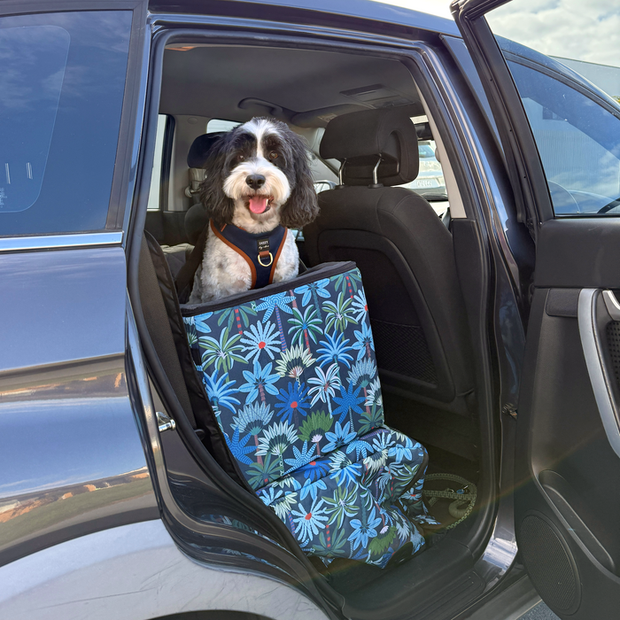 How to cure car sickness in dogs - with a booster seat