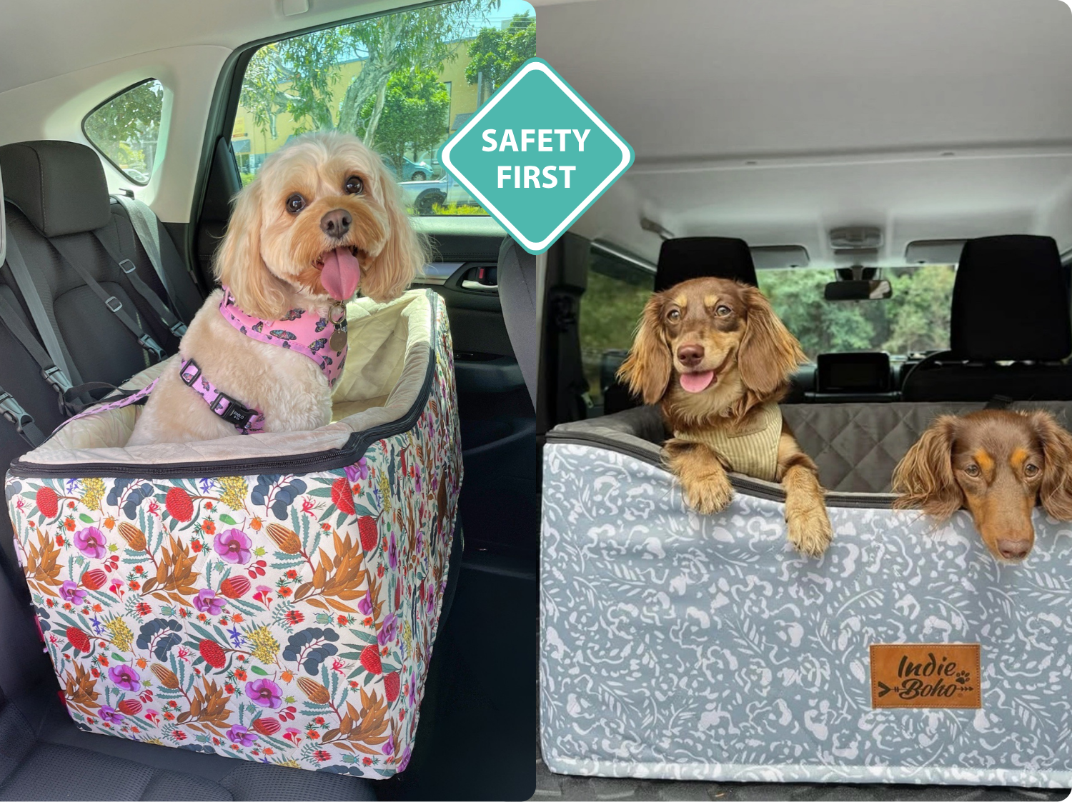 Safety Tips and State-by-State Laws