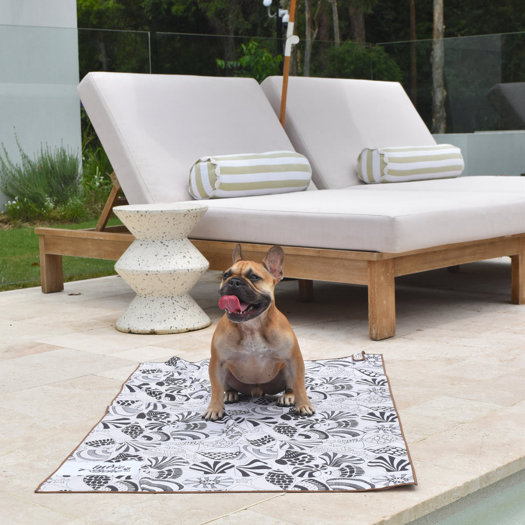 Quick-dry, Sand-free travel towel for dogs