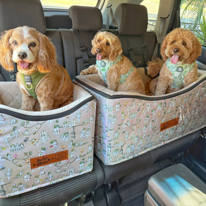 Cavoodle dogs in May Gibbs Gumnut babies double and single car booster seat Australia