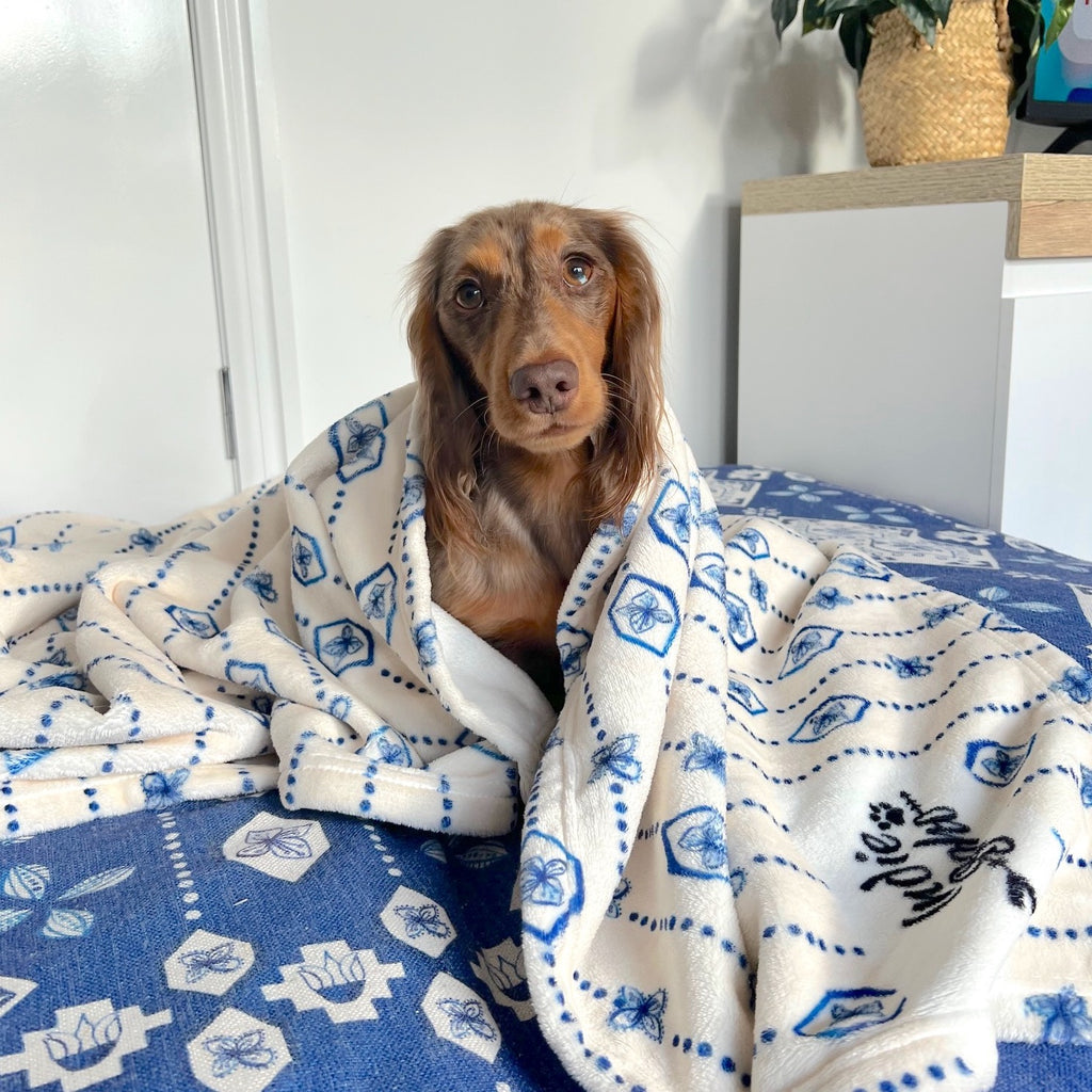Noosa Nights - Designer Pet Blanket