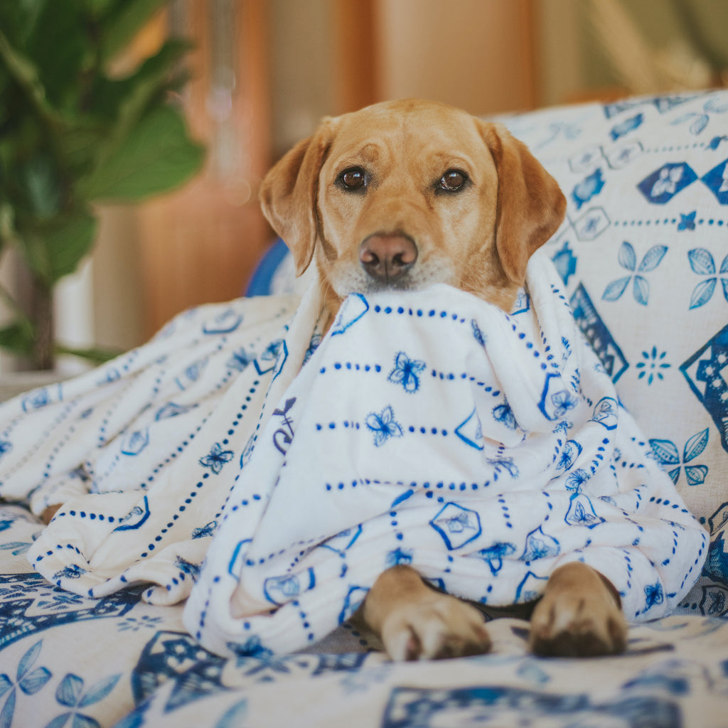 Noosa Nights - Designer Pet Blanket