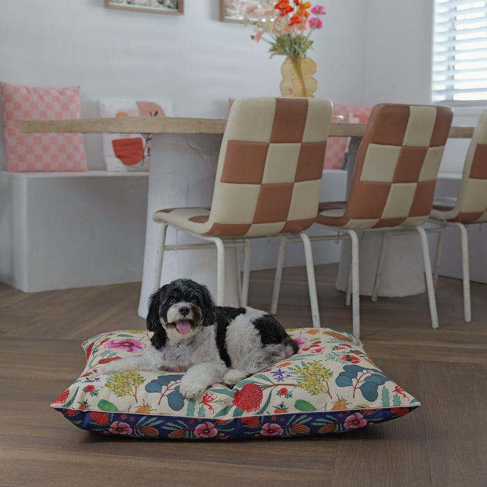 Cute Cavoodle lying on a dog bed with a colourful Australian flowers garden design. Native Flora Large Dog bed