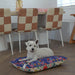 cute westie terrier lying down on a comfortable small pillow dog bed made of linen-blend material in a native flora pattern that is yellow and blue