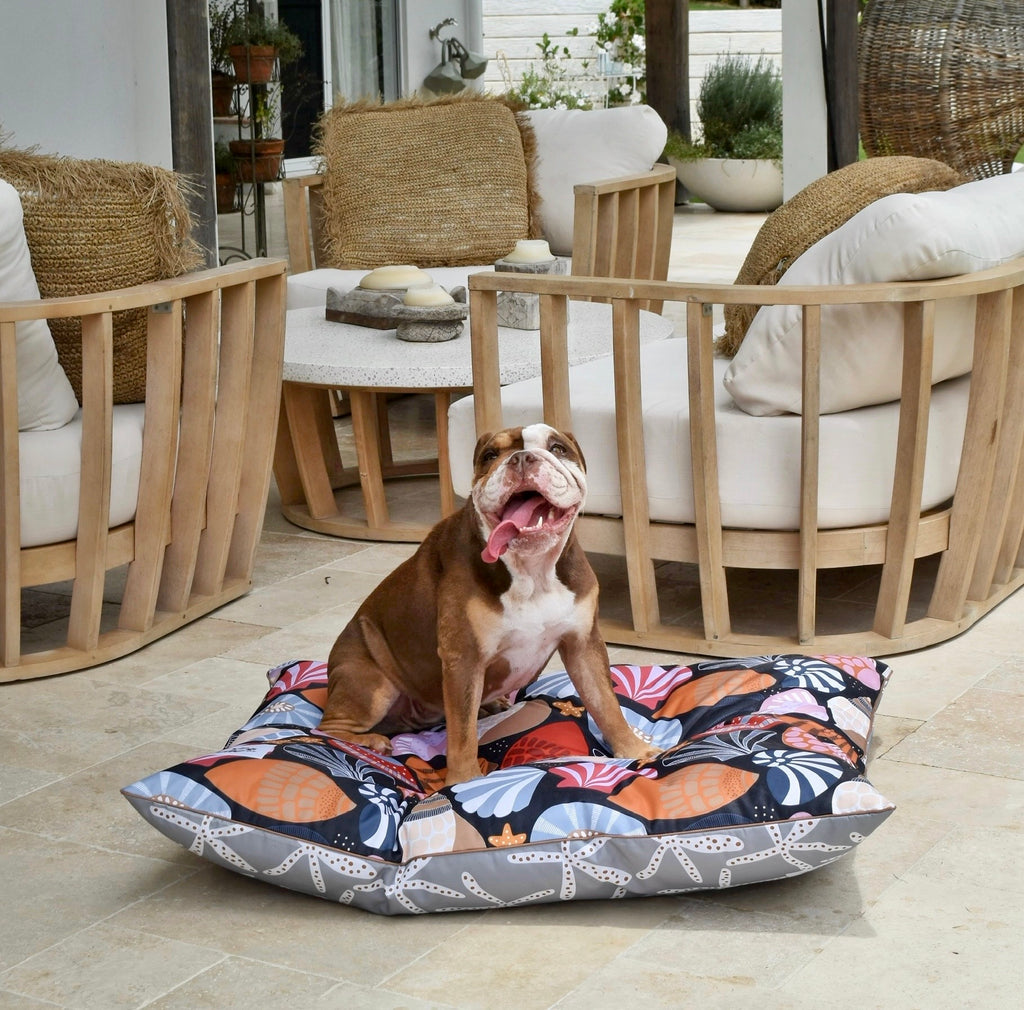 Daydream Shells Water-Resistant Outdoor Pet Bed