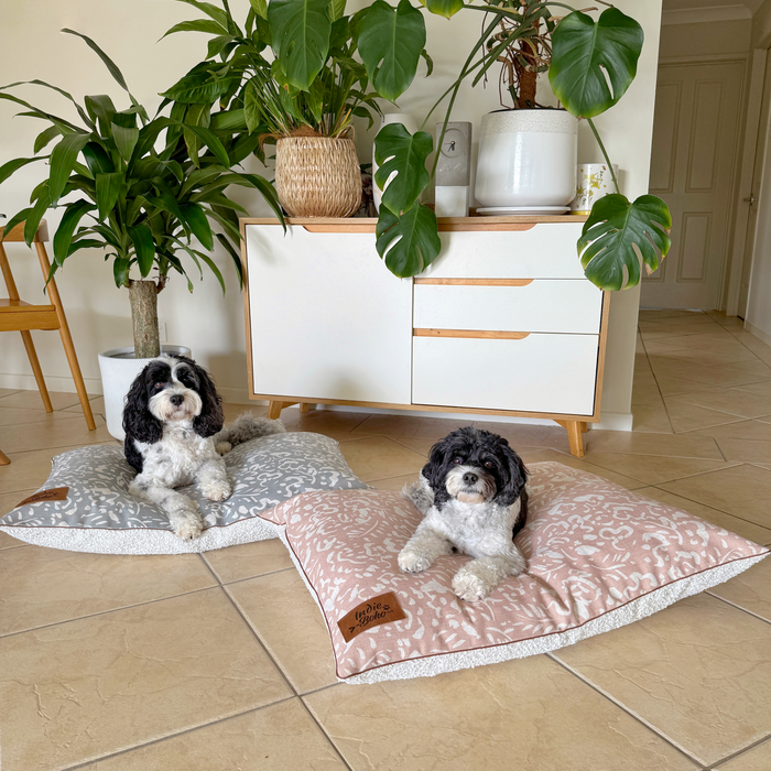 Two cavoodles on designer boucle dog beds in Australia