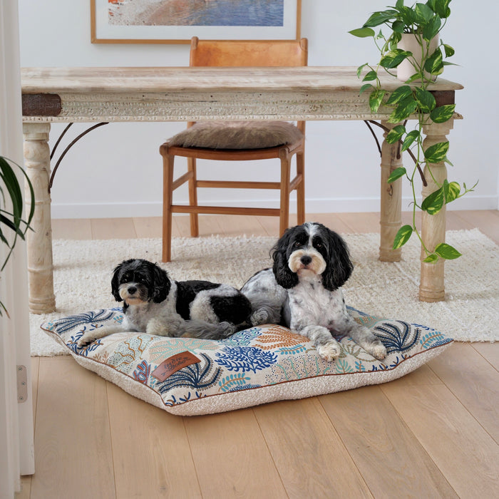 Two Cavoodles laying on Extra large coral cove designer dog bed. Coral design by Australian Artist Jocelyn Proust