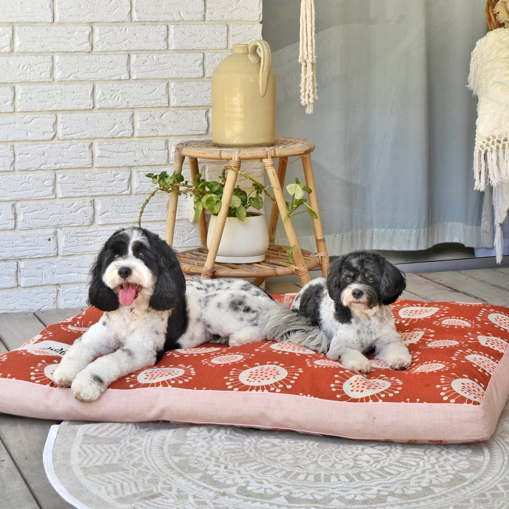bog pet bed for two or more dogs sharing