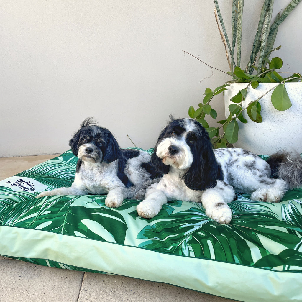XXL huge dog bed outdoors for two dogs by the pool