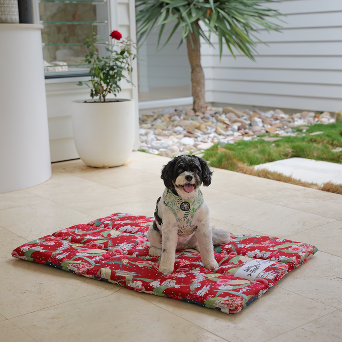Padded training and travel mat for dogs