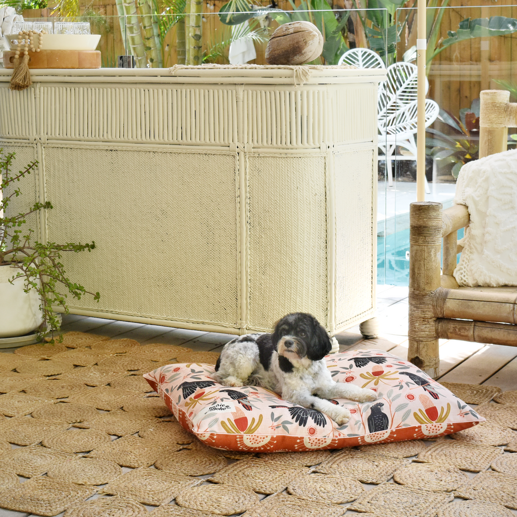 Sunset Cockatoo Water-Resistant – LARGE Dog Bed