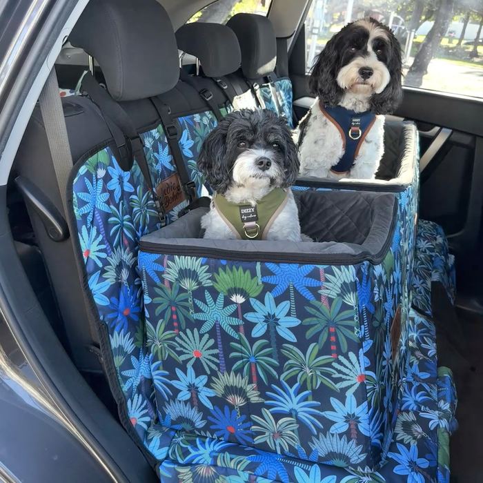Two cavoodles in dog car travel beds in small and large size with a matching car hammock seat cover