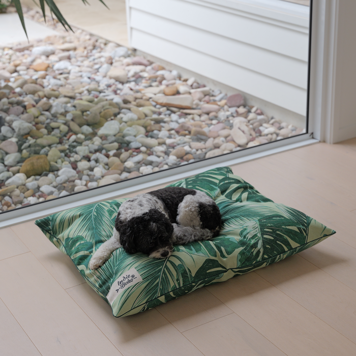 Beautiful indoor dog beds for modern homes Australia Summer 