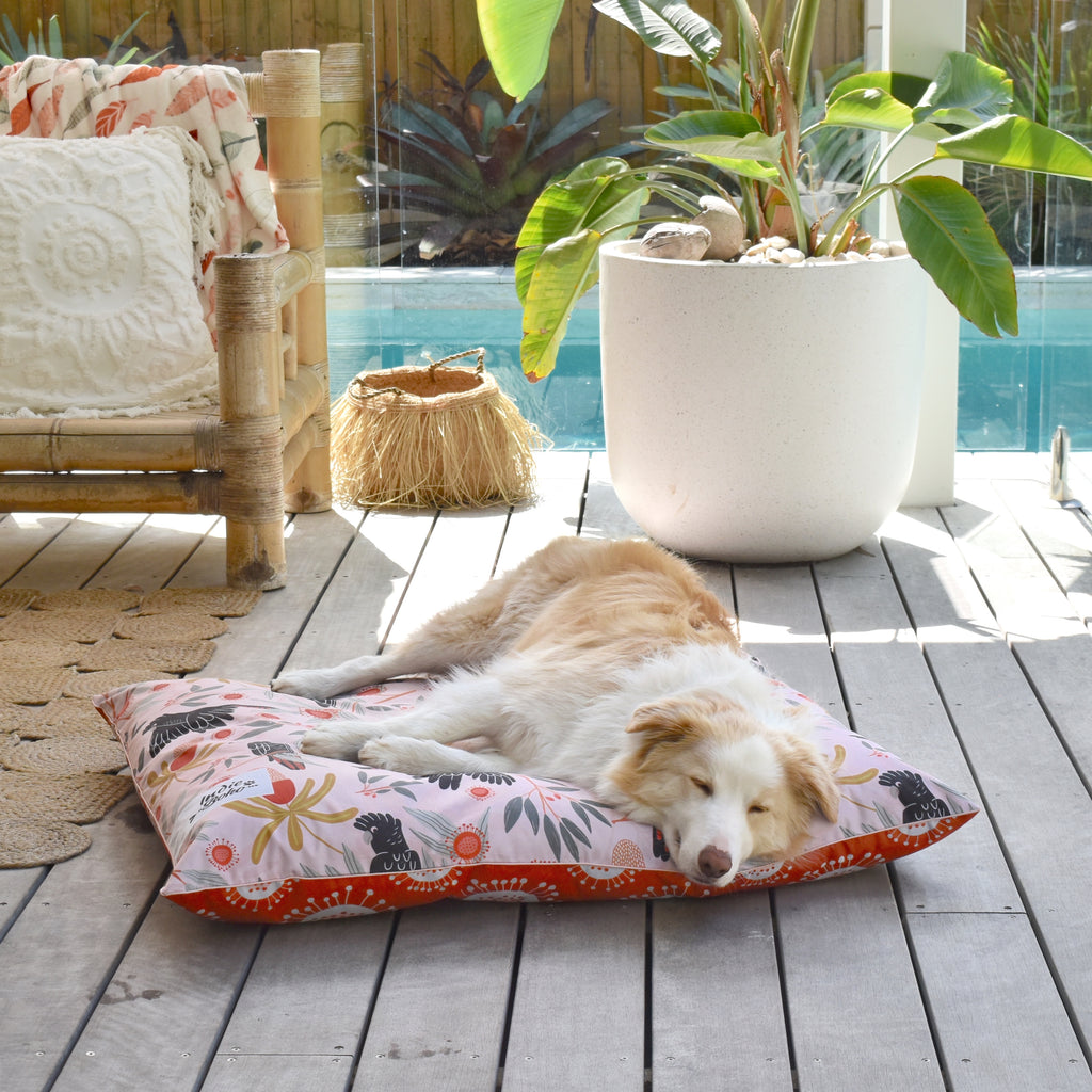 Sunset Cockatoo Water-Resistant - EXTRA LARGE Pet Bed
