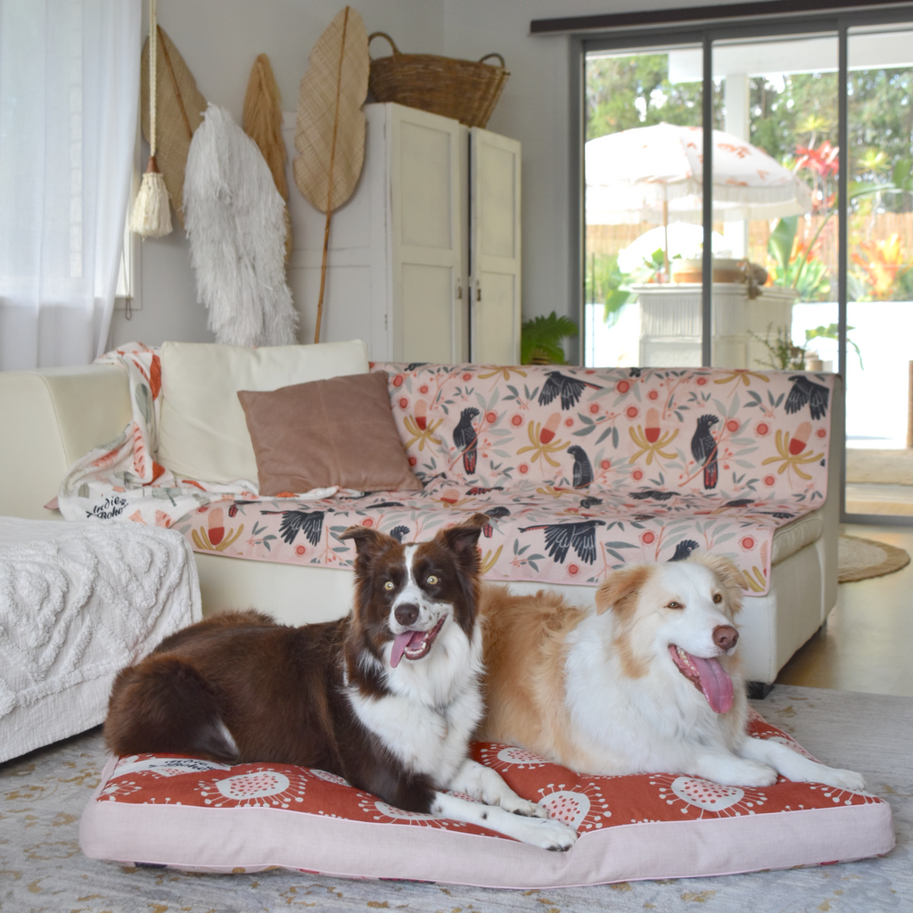 Protective Couch Cover for Pets Australia