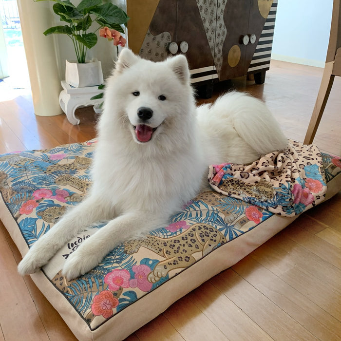 extra extra large dog bed for big dogs