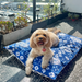 Outdoor bed cover for dogs and cats