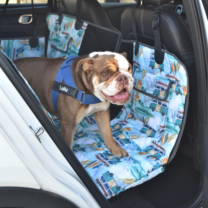 An Australian bulldog on a water-resistant hammock back seat cover with a Byron Bay surf design in blue. 