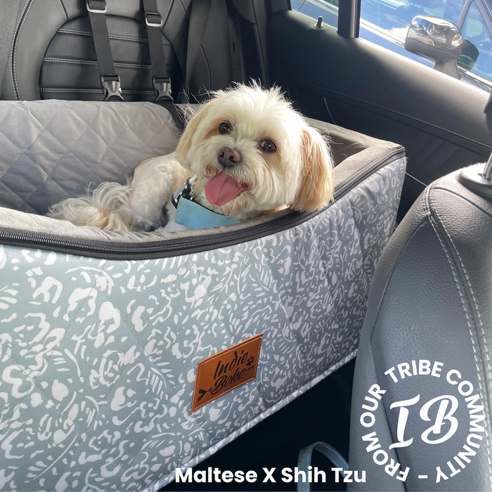 Happy Maltese shih tzu lying down comfortably in double car booster seat for dogs. 