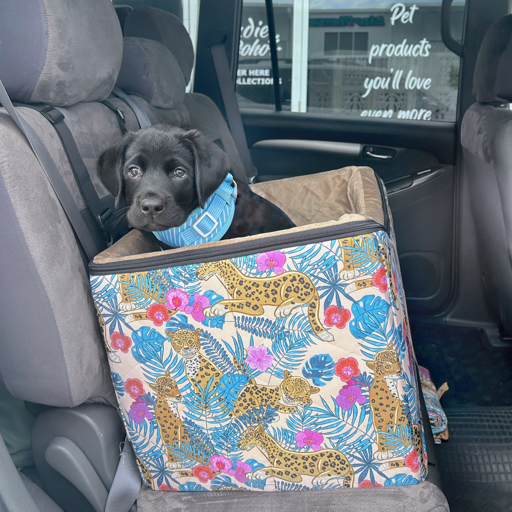Puppy dog car booster seat high tall for window view