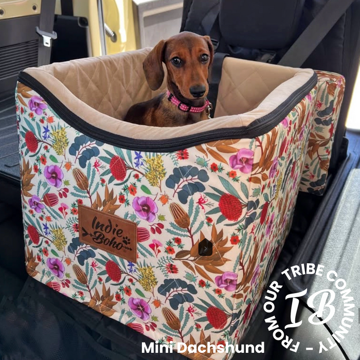 A dachshund puppy sits inside a raised fabric pet car seat with an Australian floral natives print in yellow, placed on a vehicle seat. 