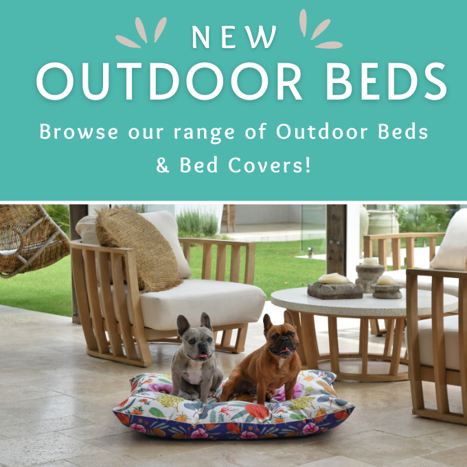 Outdoor Dog Beds for All Sizes Indie Boho