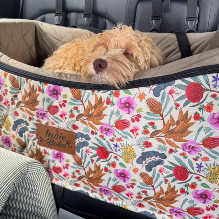 Car seat for dogs Australia, best travel seat for dogs, booster seat, dog travel safety Australia