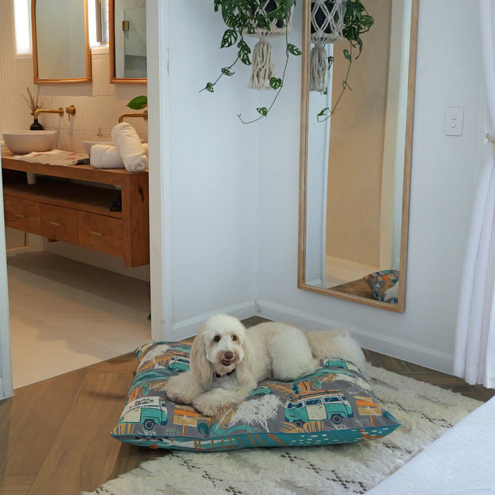 Cute bordoodle lying down on a comfortable dog bed with a fun byron surf kombi van pattern in blue, grey and yellow. Extra Large dog bed.