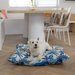 Best dog beds for small and large dogs Australia