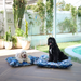 High quality dog bed for indoor and outdoor use Australia